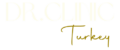 logo without background